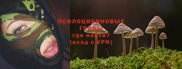 мет Баксан