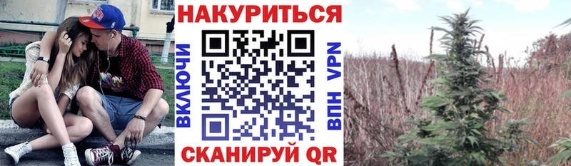 хочу наркоту  Новый Уренгой  Конопля конопля 
